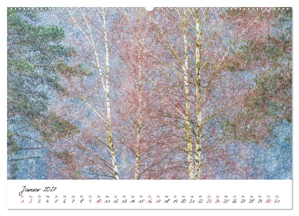 Im Atem der Bäume (CALVENDO Wandkalender 2027)