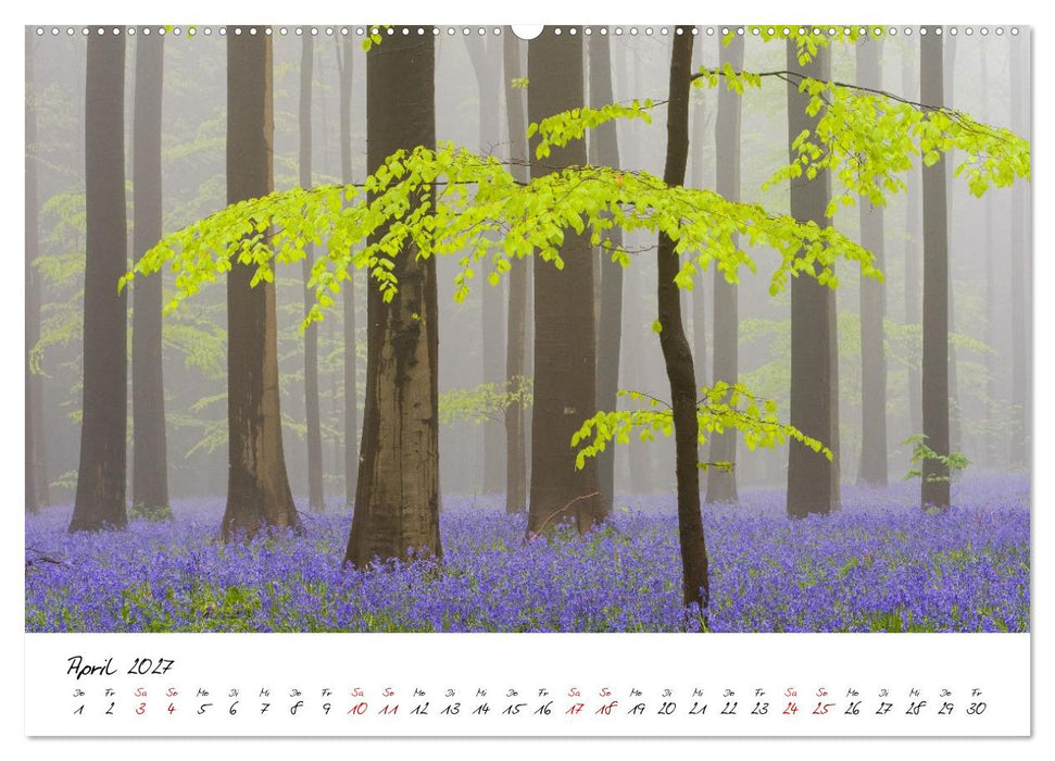 Im Atem der Bäume (CALVENDO Premium Wandkalender 2027)
