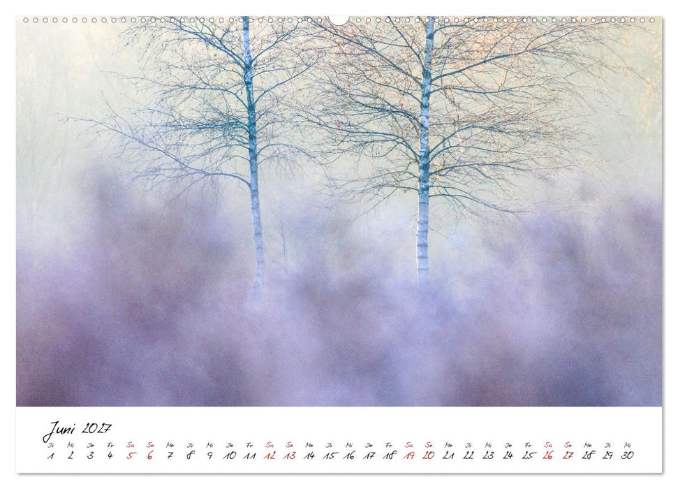 Im Atem der Bäume (CALVENDO Premium Wandkalender 2027)