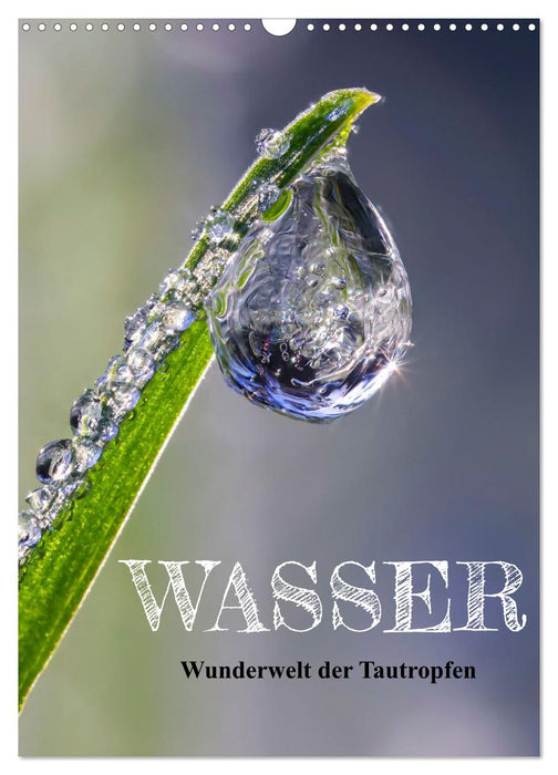 Wasser - Wunderwelt der Tautropfen (CALVENDO Wandkalender 2027)