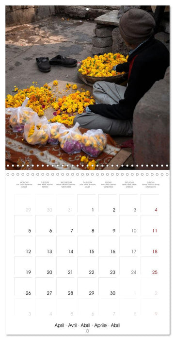 Street life in Rajasthan (CALVENDO Monthly Calendar 2027)