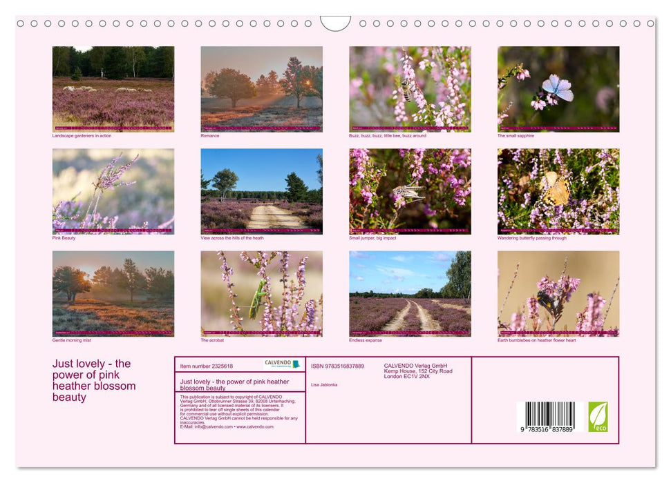 Just lovely - the power of pink heather blossom beauty (CALVENDO Monthly Calendar 2027)
