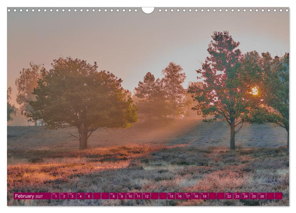Just lovely - the power of pink heather blossom beauty (CALVENDO Monthly Calendar 2027)