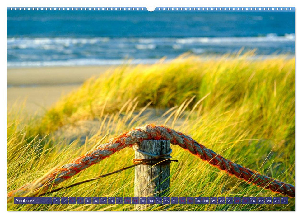 Ein Blick auf die Insel Texel (CALVENDO Premium Wandkalender 2027)