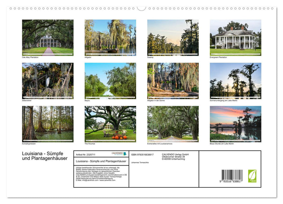 Louisiana - Sümpfe und Plantagenhäuser (CALVENDO Premium Wandkalender 2027)