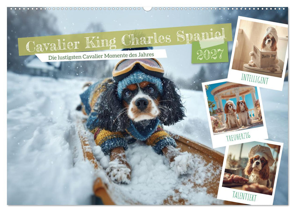 Cavalier King Charles Spaniel. Die lustigsten Cavalier Momente des Jahres. (CALVENDO Wandkalender 2027)