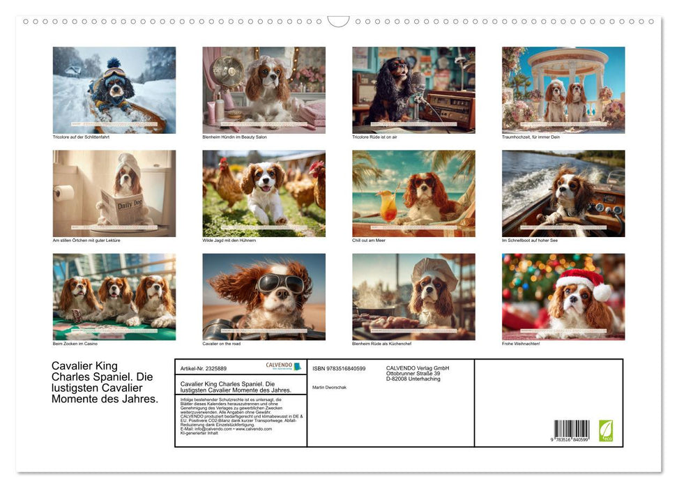 Cavalier King Charles Spaniel. Die lustigsten Cavalier Momente des Jahres. (CALVENDO Wandkalender 2027)