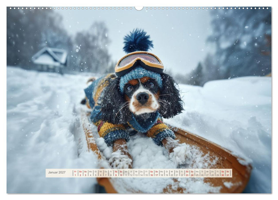 Cavalier King Charles Spaniel. Die lustigsten Cavalier Momente des Jahres. (CALVENDO Wandkalender 2027)