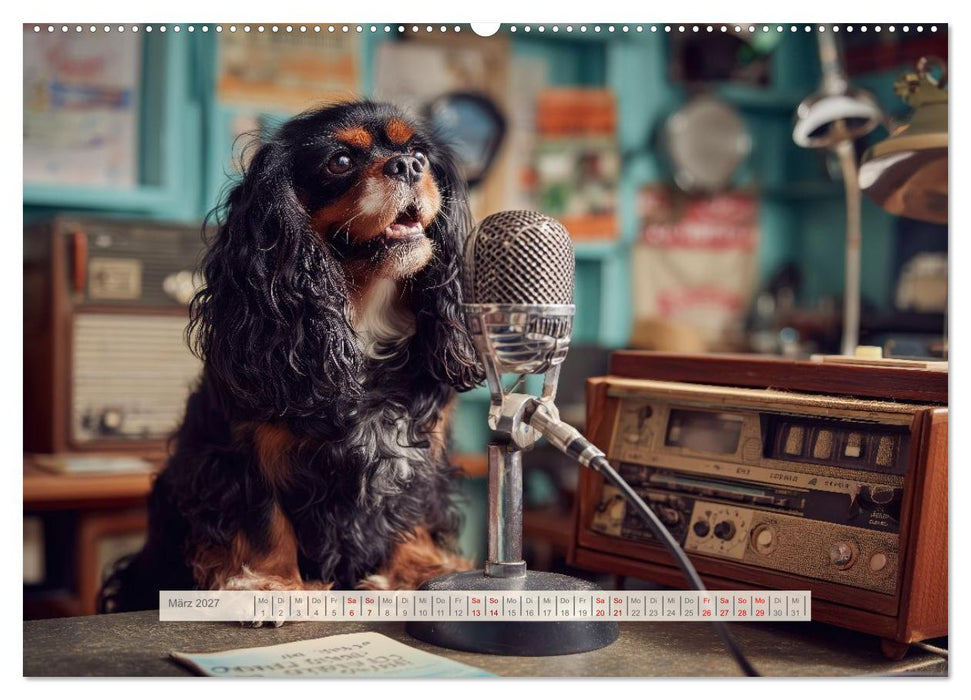 Cavalier King Charles Spaniel. Die lustigsten Cavalier Momente des Jahres. (CALVENDO Wandkalender 2027)