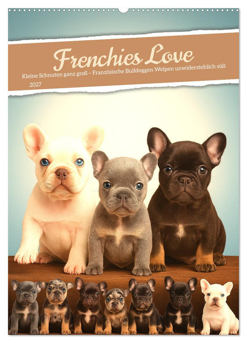Frenchies Love – Kleine Schnuten ganz groß - Französische Bulldoggen Welpen unwiderstehlich süß (CALVENDO Wandkalender 2027)