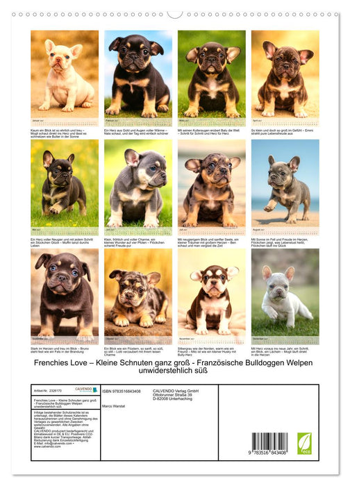 Frenchies Love – Kleine Schnuten ganz groß - Französische Bulldoggen Welpen unwiderstehlich süß (CALVENDO Premium Wandkalender 2027)