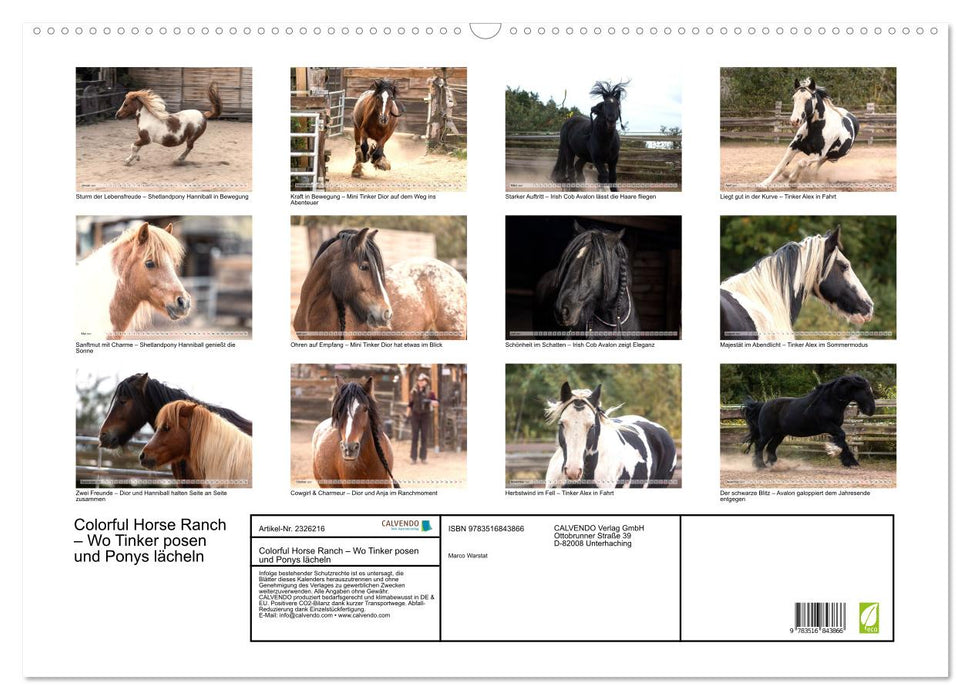 Colorful Horse Ranch – Wo Tinker posen und Ponys lächeln (CALVENDO Wandkalender 2027)
