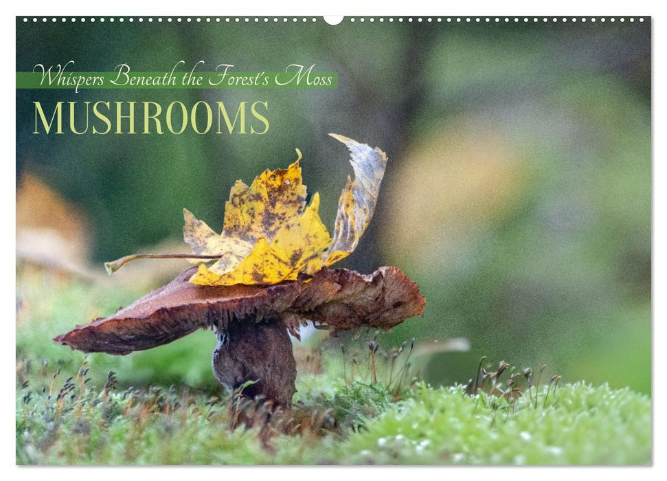 Whispers Beneath the Forest's Moss Mushrooms (CALVENDO Monthly Calendar 2027)