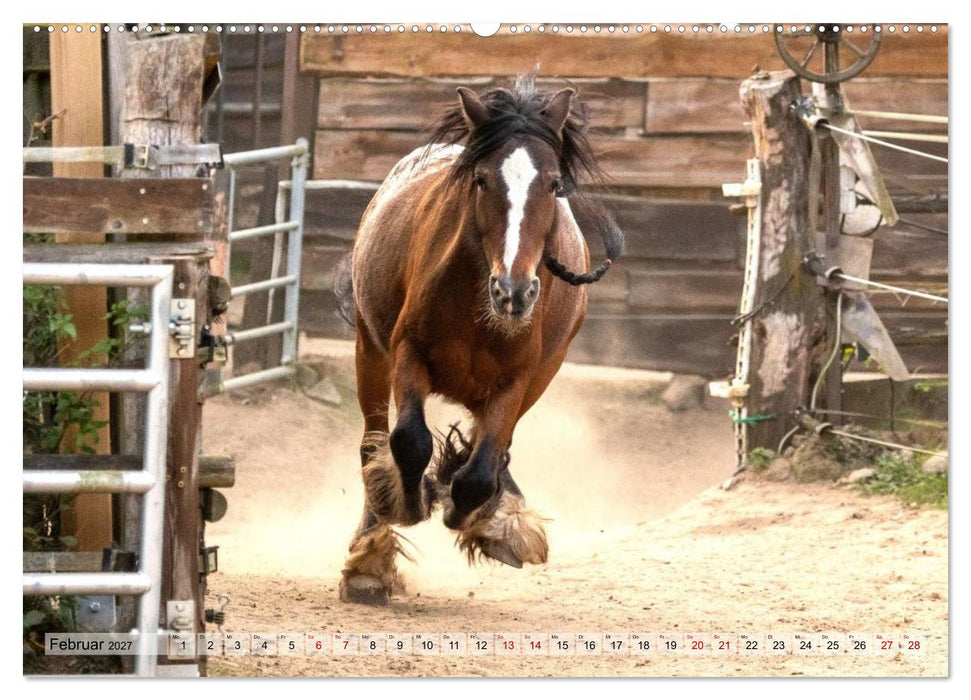 Colorful Horse Ranch – Wo Tinker posen und Ponys lächeln (CALVENDO Premium Wandkalender 2027)