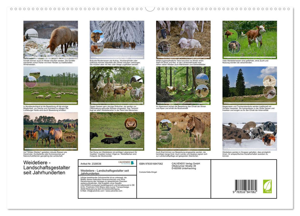Weidetiere - Landschaftsgestalter seit Jahrhunderten (CALVENDO Premium Wandkalender 2027)