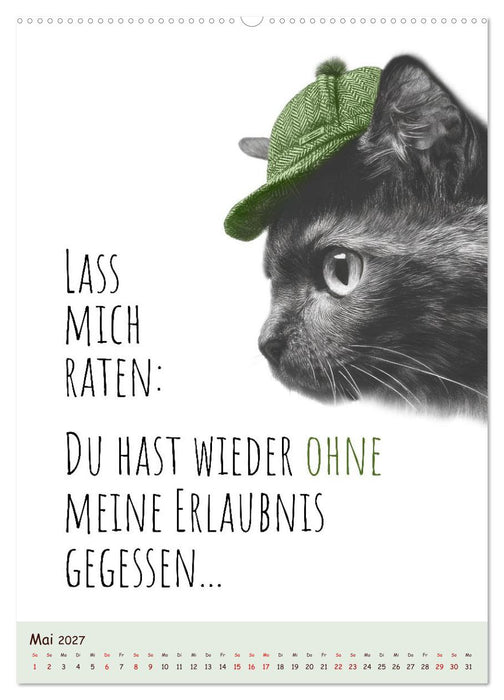 Katzenkult - Coolness auf vier Pfoten (CALVENDO Wandkalender 2027)