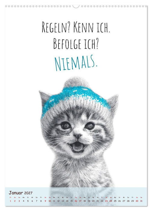 Katzenkult - Coolness auf vier Pfoten (CALVENDO Premium Wandkalender 2027)