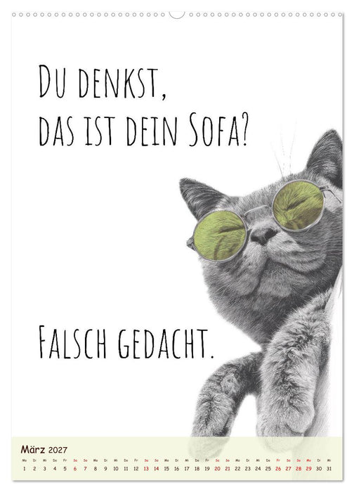 Katzenkult - Coolness auf vier Pfoten (CALVENDO Premium Wandkalender 2027)