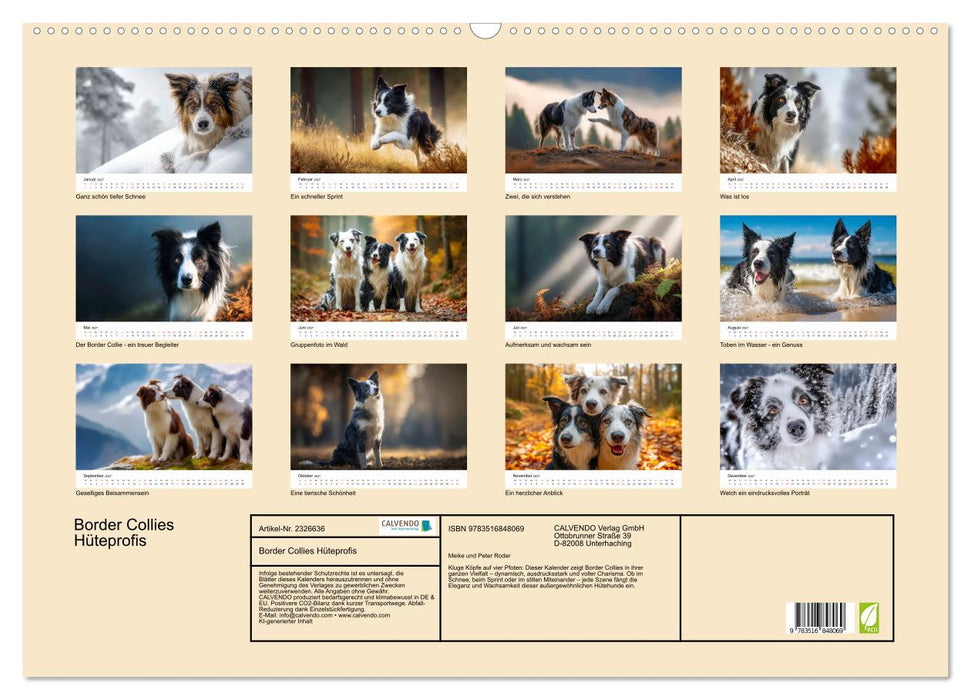 Border Collies Hüteprofis (CALVENDO Wandkalender 2027)