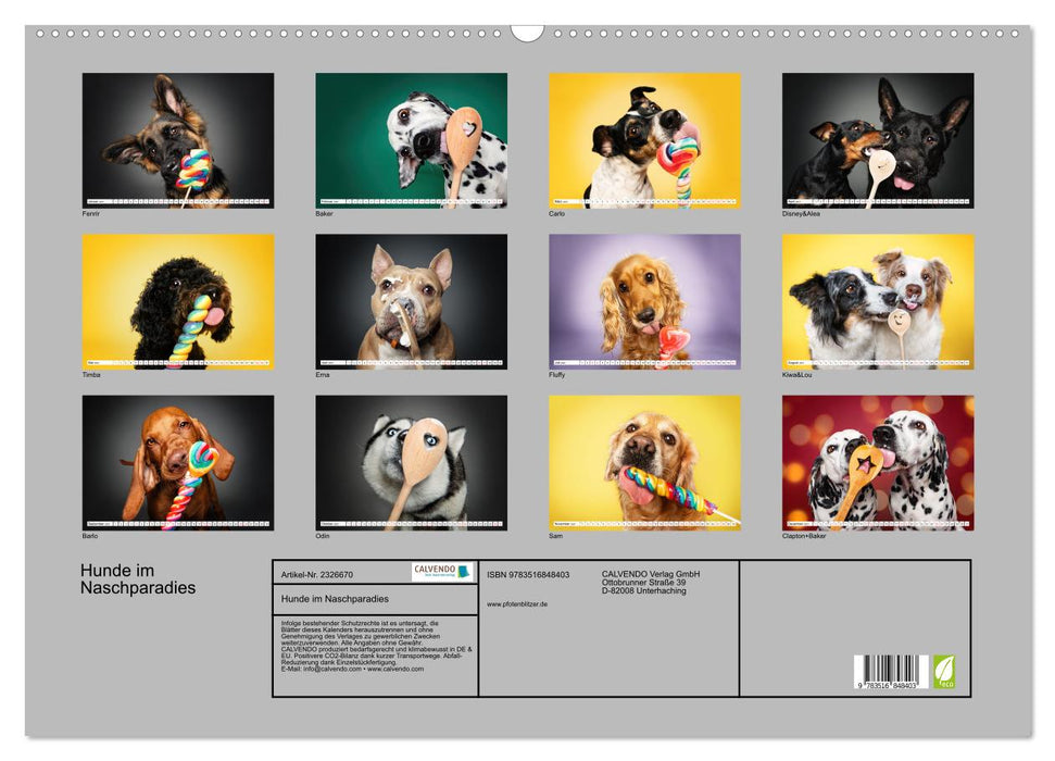 Hunde im Naschparadies (CALVENDO Wandkalender 2027)