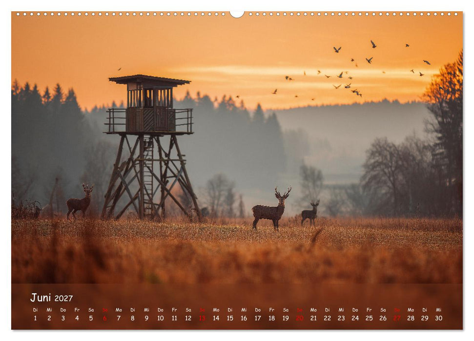 Jagd und Natur - Kalender für Jäger mit Wildtieren Deutschlands im Jahreslauf (CALVENDO Premium Wandkalender 2027)
