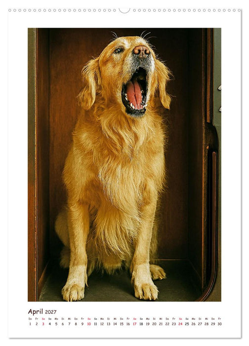 Wer fährt denn da? Ein tierisches Paternoster Vergnügen (CALVENDO Wandkalender 2027)