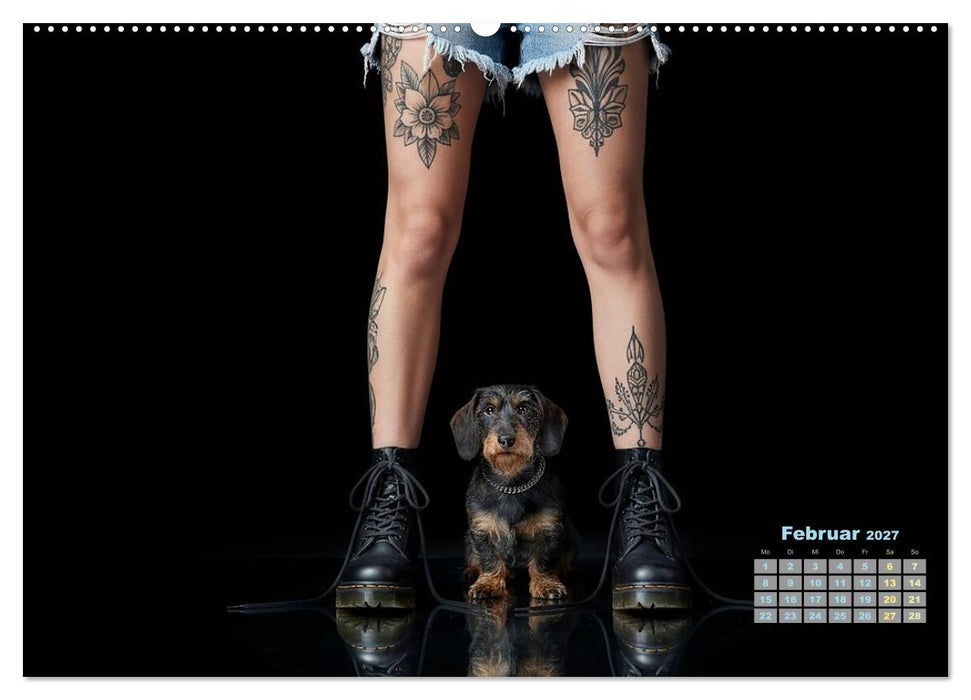 Starke Mädels - Rauhaardackel (CALVENDO Premium Wandkalender 2027)