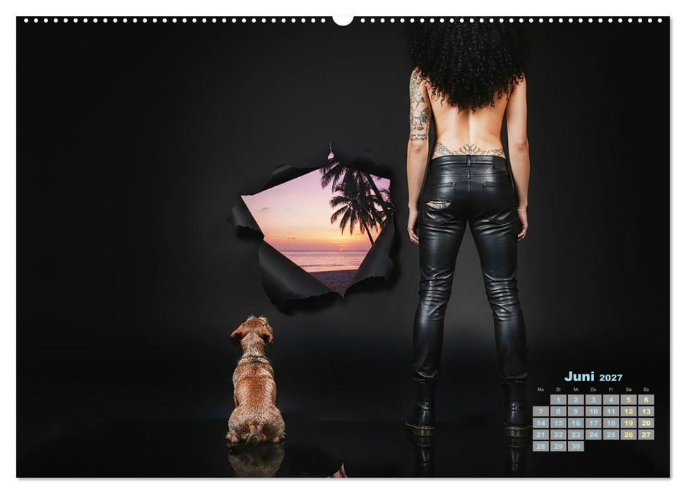 Starke Mädels - Rauhaardackel (CALVENDO Premium Wandkalender 2027)