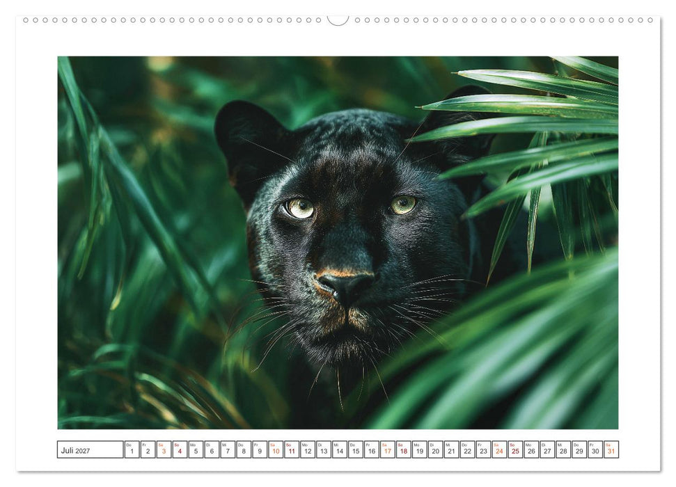 Magie der Wildnis (CALVENDO Premium Wandkalender 2027)