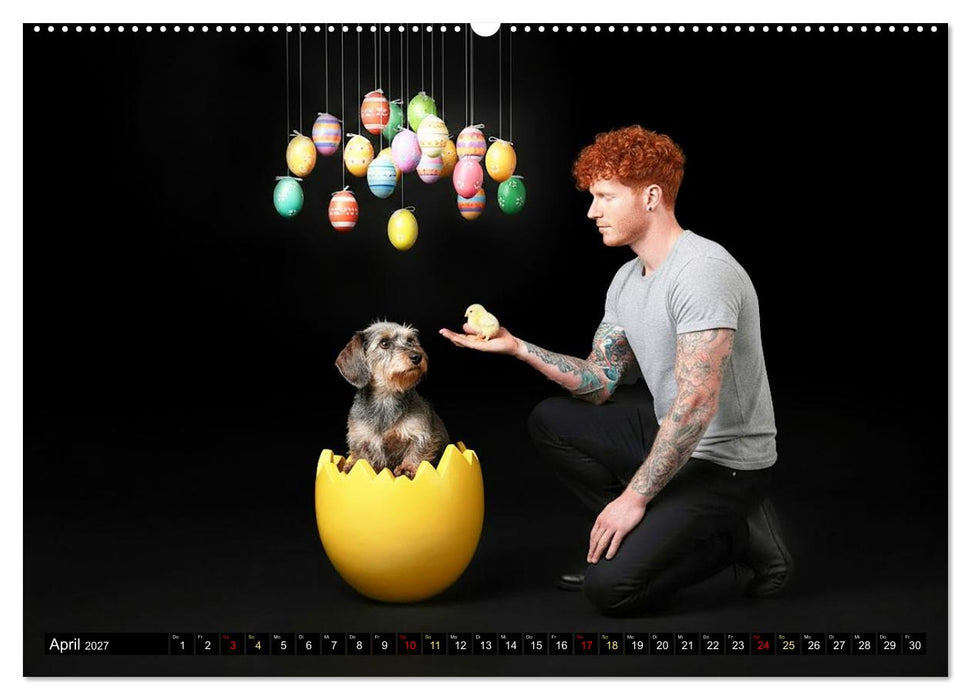 Coole Typen - Rauhaardackel (CALVENDO Wandkalender 2027)