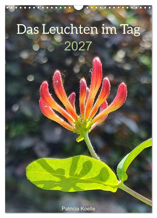 Das Leuchten im Tag (CALVENDO Wandkalender 2027)