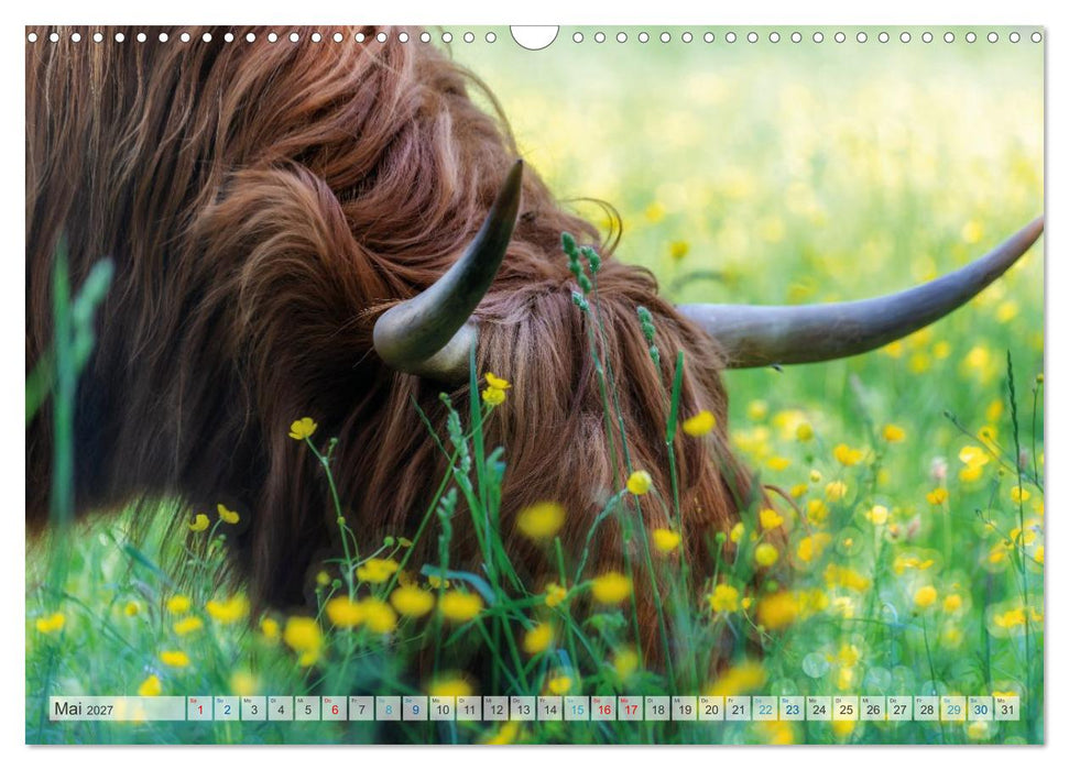 Mein Norderstedt (CALVENDO Wandkalender 2027)