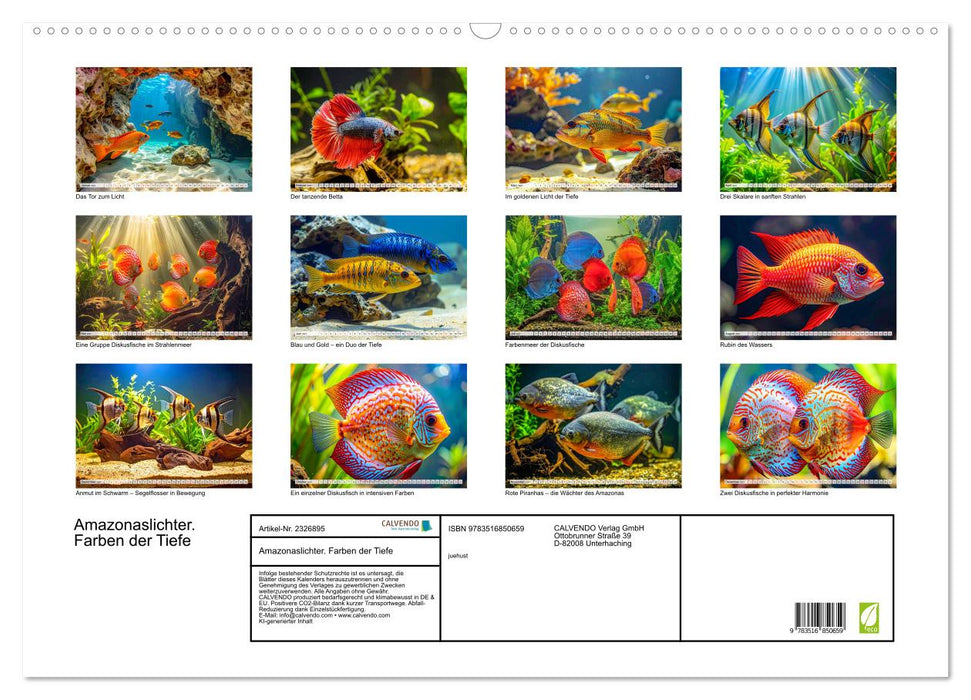 Amazonaslichter. Farben der Tiefe (CALVENDO Wandkalender 2027)