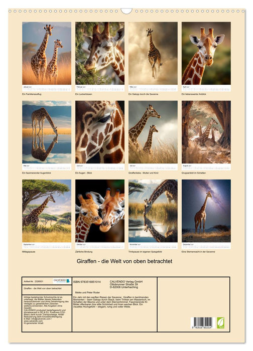 Giraffen - die Welt von oben betrachtet (CALVENDO Wandkalender 2027)