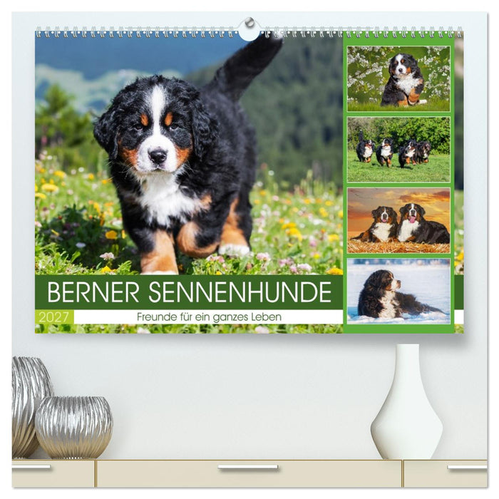 Berner Sennenhunde - Freunde für ein ganzes Leben (CALVENDO Premium Wandkalender 2027)