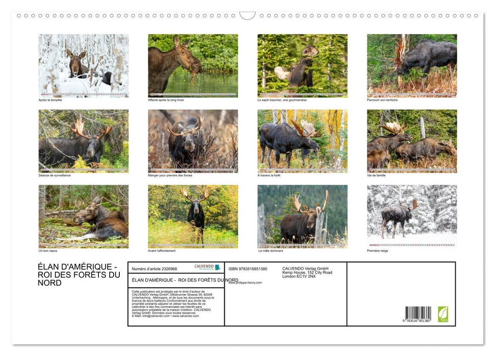 ÉLAN D'AMÉRIQUE - ROI DES FORÊTS DU NORD (CALVENDO Calendrier mensuel 2027)