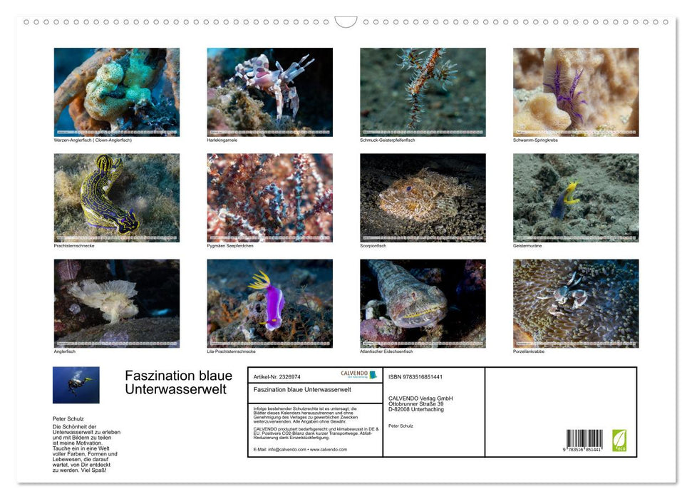 Faszination blaue Unterwasserwelt (CALVENDO Wandkalender 2027)