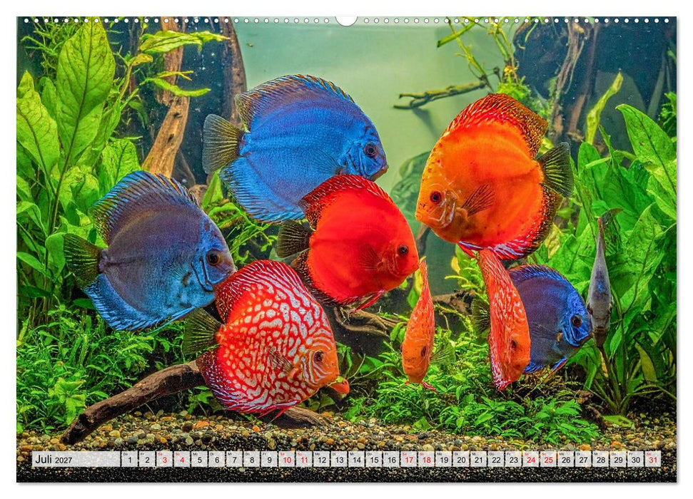 Amazonaslichter. Farben der Tiefe (CALVENDO Premium Wandkalender 2027)