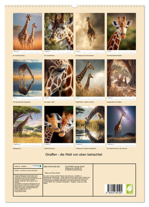 Giraffen - die Welt von oben betrachtet (CALVENDO Premium Wandkalender 2027)