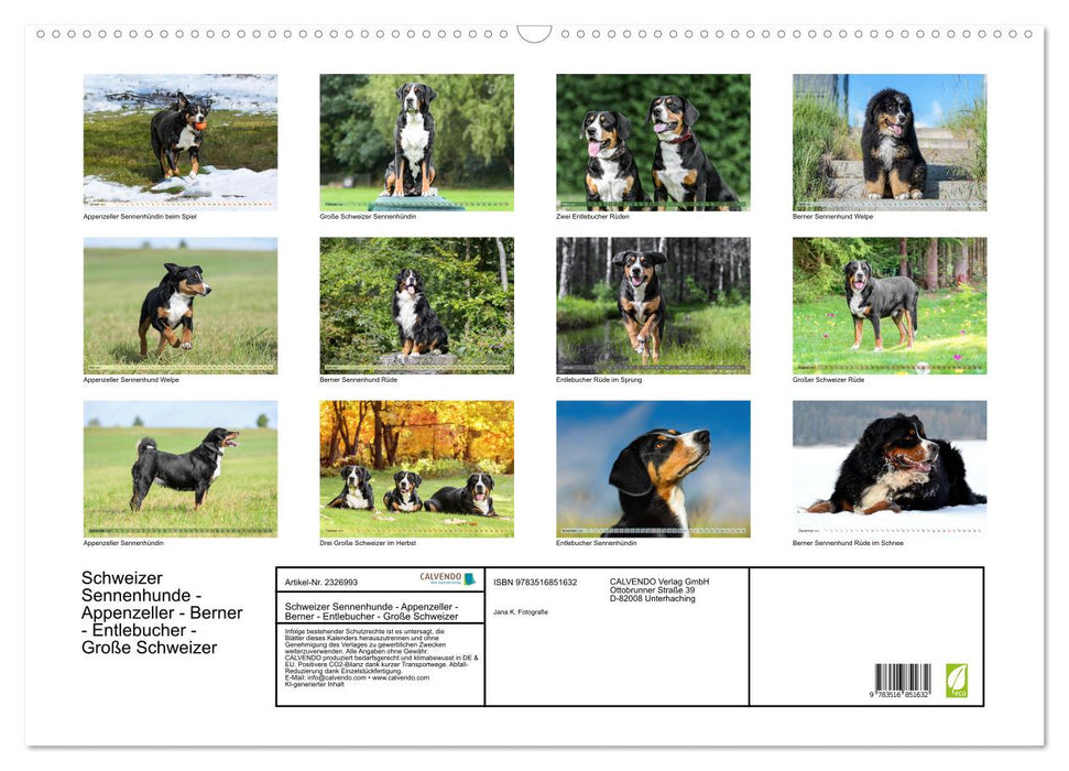 Schweizer Sennenhunde - Appenzeller - Berner - Entlebucher - Große Schweizer (CALVENDO Wandkalender 2027)
