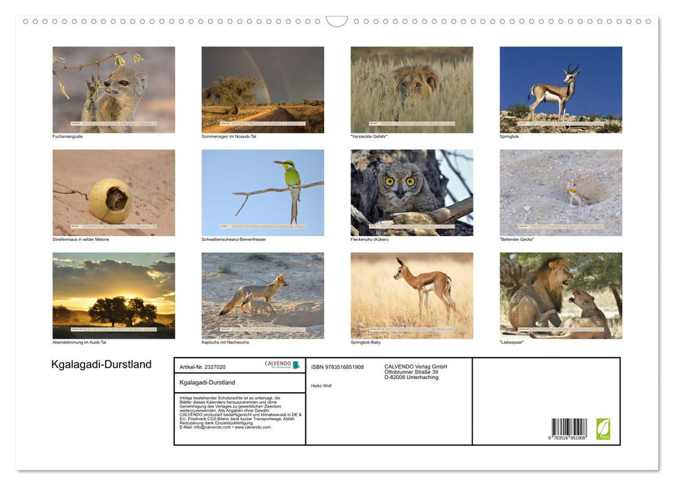 Kgalagadi-Durstland (CALVENDO Wandkalender 2027)