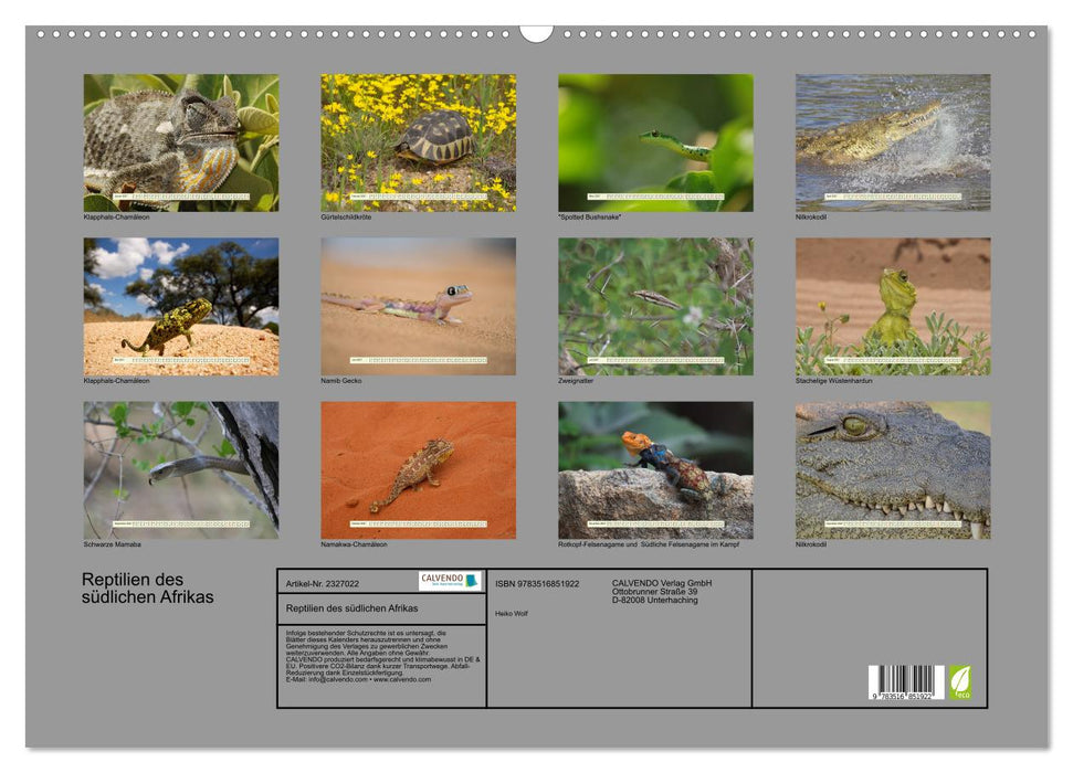 Reptilien des südlichen Afrikas (CALVENDO Wandkalender 2027)