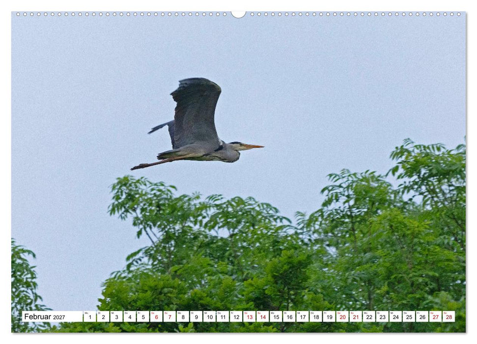 Angeln - Landschaft zwischen Schlei und Flensburger Förde (CALVENDO Wandkalender 2027)