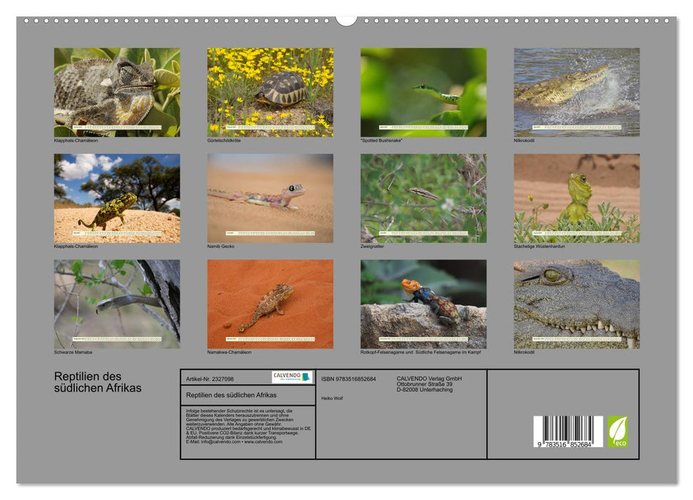 Reptilien des südlichen Afrikas (CALVENDO Premium Wandkalender 2027)