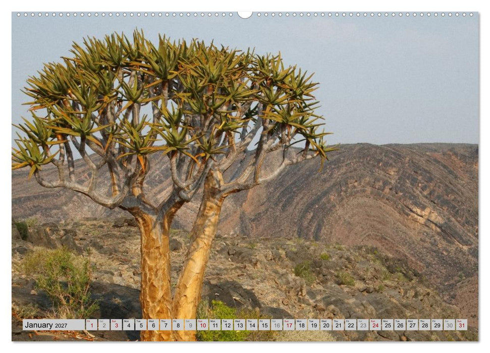 Impressions of South African National Parks (CALVENDO Premium-Calendar 2027)
