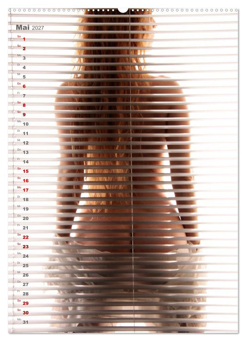 Schöner nackter Rücken sorgt für Entzücken (CALVENDO Premium Wandkalender 2027)