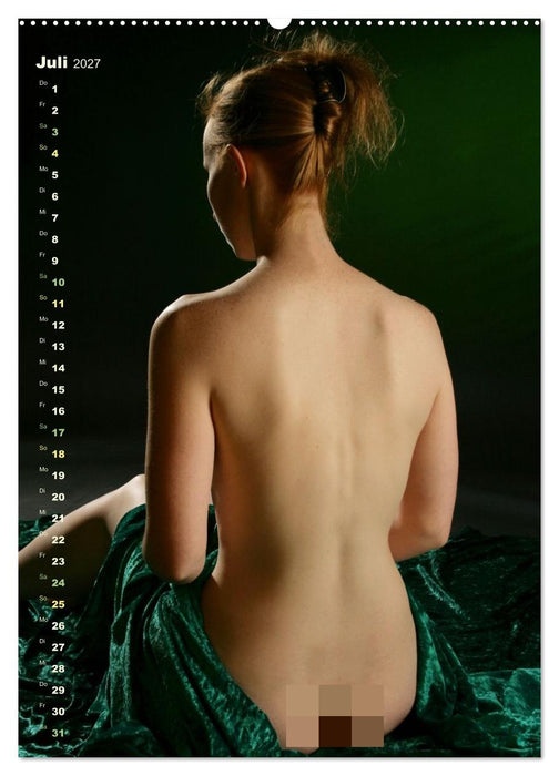 Schöner nackter Rücken sorgt für Entzücken (CALVENDO Premium Wandkalender 2027)