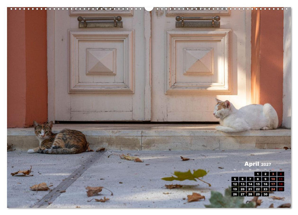 Katzen von Rhodos - Kleine Götter auf vier Pfoten (CALVENDO Wandkalender 2027)