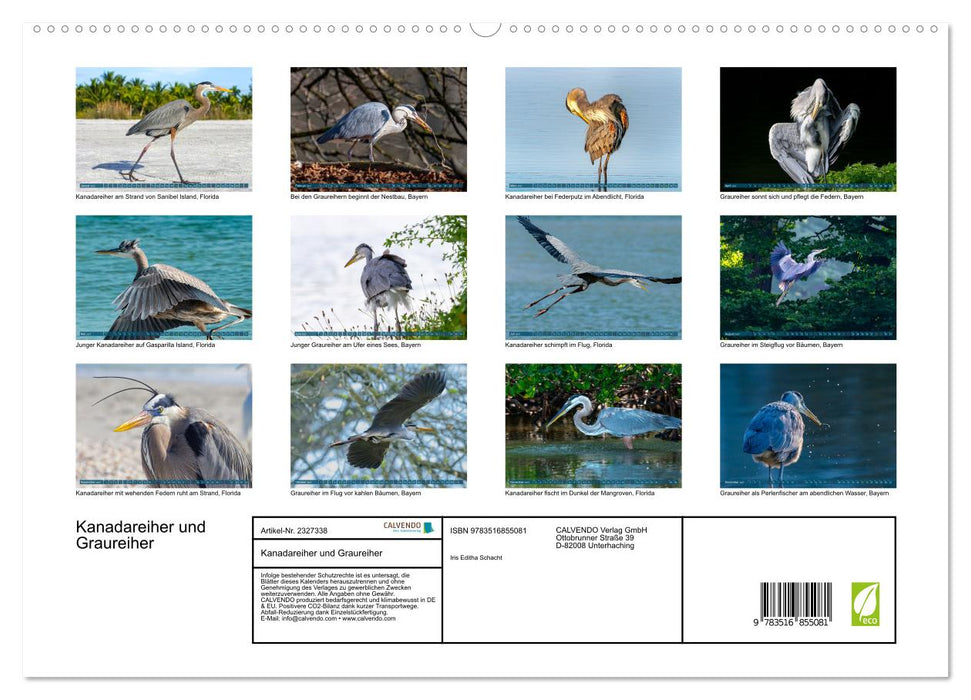 Kanadareiher und Graureiher (CALVENDO Premium Wandkalender 2027)
