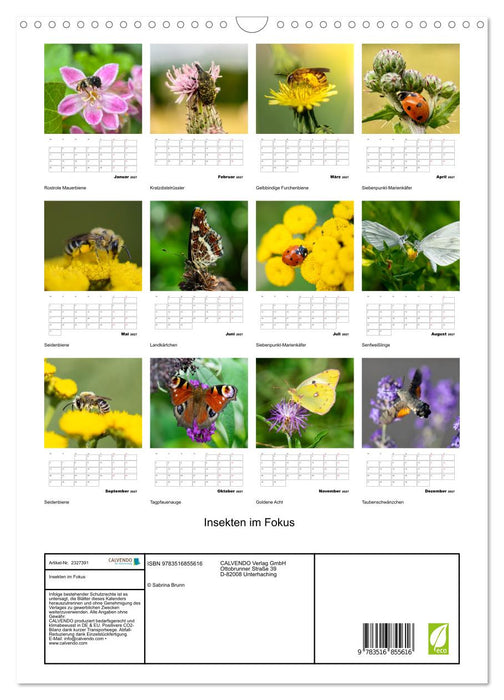 Insekten im Fokus (CALVENDO Wandkalender 2027)